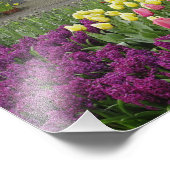 小さなコテージの花屋、ケウケンホフ庭園 フォトプリント            (角)