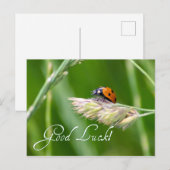 小さなコバチちゃんと一緒なら、きっとうまくいくよ！ ポストカード (正面/裏面)