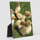 小さなゴズリング フォトプラーク (側面)