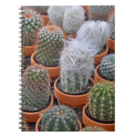 小さなサボテンの植物 ノートブック (正面)