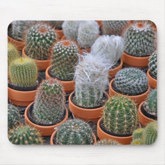 小さなサボテンの植物 マウスパッド (正面)