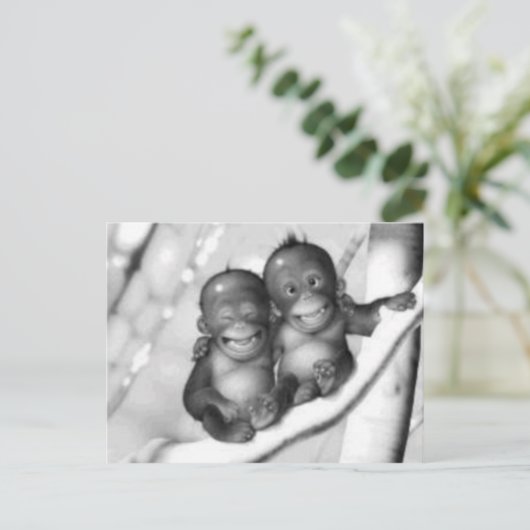 小さなサル ポストカード (スタンド正面)