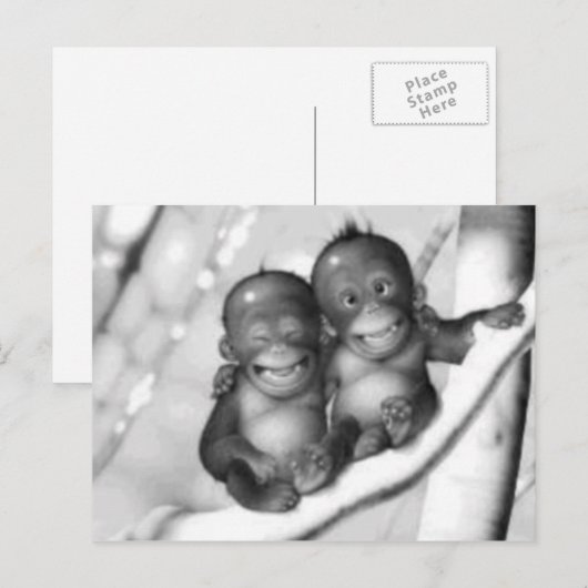 小さなサル ポストカード (正面/裏面)