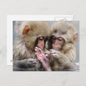 小さなサル |熱い春，日本 ポストカード (正面/裏面)