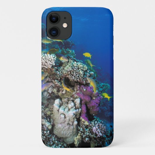 小さなサンゴの周りを群れるヒメジ Case-Mate iPhoneケース (裏面)