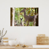 「小さなサープライズ」ホワイトテールディアポスター ポスター (キッチン)