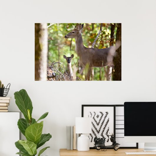 「小さなサープライズ」ホワイトテールディアポスター ポスター (ホームオフィス)