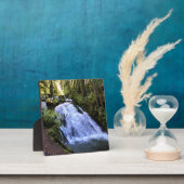 小さなジグザグの滝、または フォトプラーク (インサイチュ)