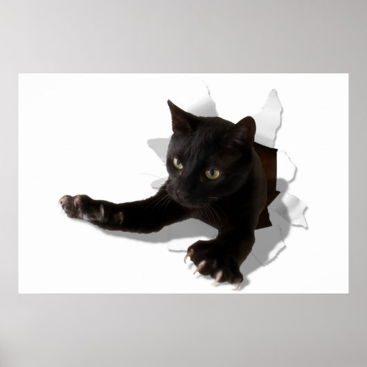 小さなジャンプのヒョウ ポスター (正面)