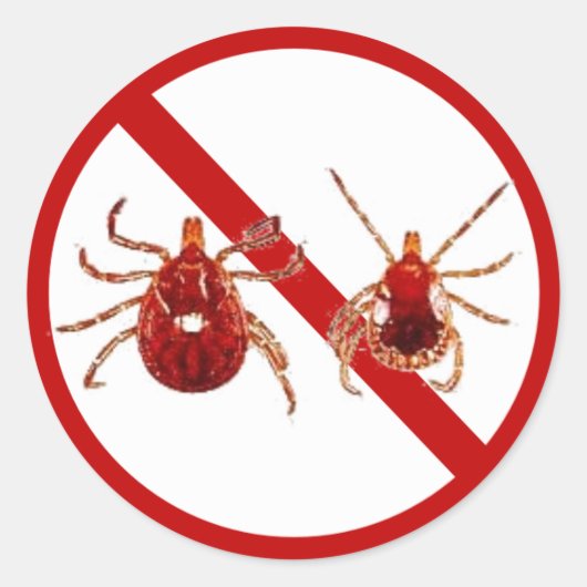 小さなステッカー、ライム病ティック（白） ラウンドシール (正面)