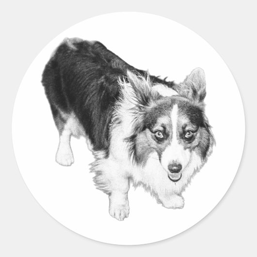 小さなステップ、大きな存在感 ラウンドシール (正面)