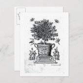 小さなステージ(彫刻)の骨壷の装飾木 ポストカード (正面/裏面)