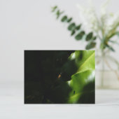 小さなスパイダーはがき ポストカード (スタンド正面)