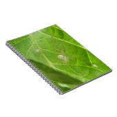 小さなスパイダーノート ノートブック (右側)