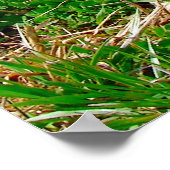 小さなスポット ポスター (角)