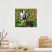 小さなスポット ポスター (キッチン)