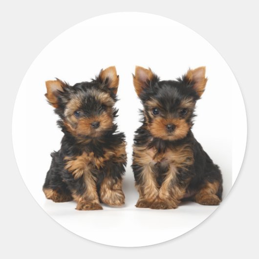 小さなスーパーバイザーが2つ ラウンドシール (正面)