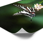 小さなゼブラ印刷 ポスター (角)