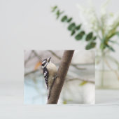 小さなダウン木ペッカー鳥はがき ポストカード (スタンド正面)