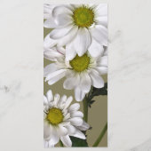 小さなデイジーを見上げて メニュー (裏面)