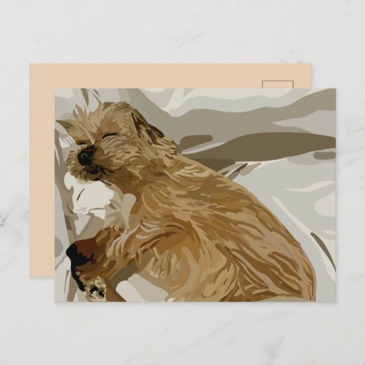 小さなデイジー犬 シーズンポストカード (正面/裏面)