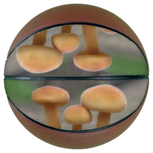 小さなトアドストールマクロバスケットボール バスケットボール (正面)