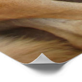 小さなトウモロコシ島で犬の日 ポスター (角)