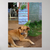 小さなトウモロコシ島で犬の日 ポスター (正面)