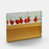 小さなトマトのフォトブロック フォトブロック (左)