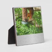 小さなナッツ、リスのプラーク。 フォトプラーク (正面)