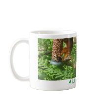 "小さなナッツ"、逆さになった赤いリス。