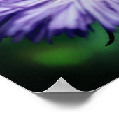 小さなハチの紫色のアスターの花 ポスター (角)