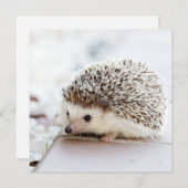 小さなハリネズミ (正面/裏面)