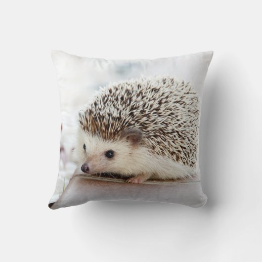 小さなハリネズミ クッション (裏面)