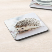 小さなハリネズミ コースター (左側)