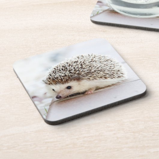 小さなハリネズミ コースター (左側)