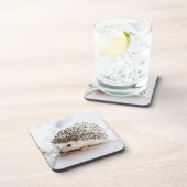 小さなハリネズミ コースター (右側)