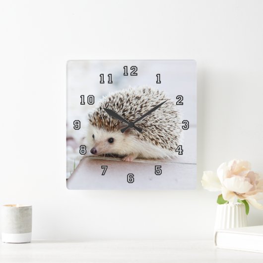 小さなハリネズミ スクエア壁時計 (ホーム)