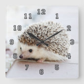 小さなハリネズミ スクエア壁時計 (正面)