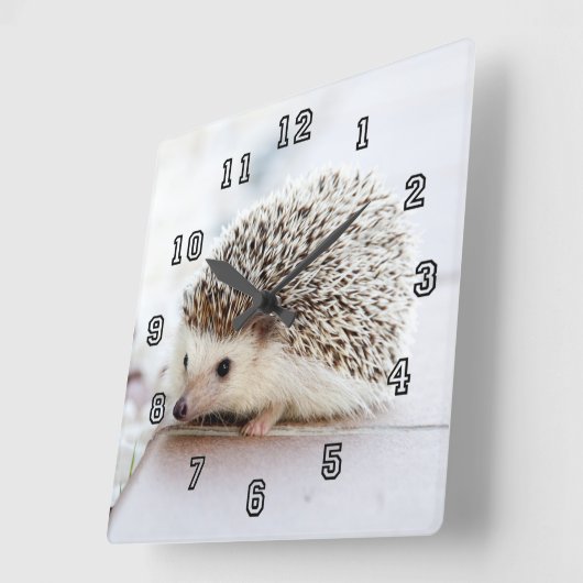 小さなハリネズミ スクエア壁時計 (傾斜)