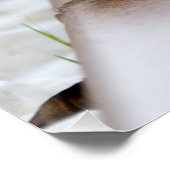 小さなハリネズミ ポスター (コーナー)