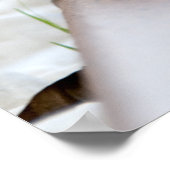 小さなハリネズミ ポスター (角)