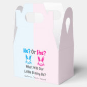 小さなバニーのジェンダーが明らかにする フェイバーボックス (オープン)