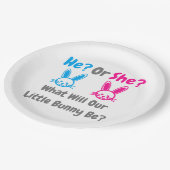 小さなバニーのジェンダーが明らかにする ペーパープレート (アングル)