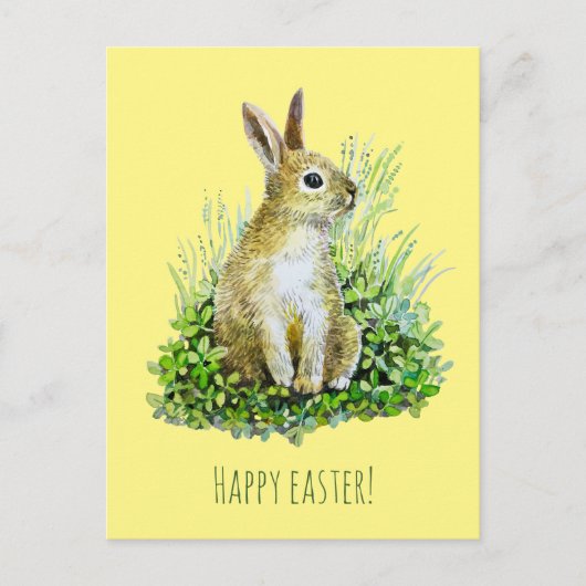 小さなバニーの水の色のはがき ポストカード (正面)