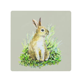 小さなバニーの水の色の木壁アート メタルプリント