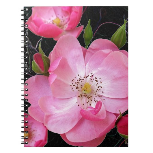 小さなバラの芽が開く ノートブック (正面)