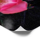 小さなバラの芽が開く ポスター (コーナー)