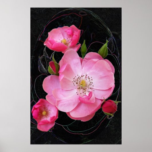 小さなバラの芽が開く ポスター (正面)