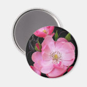 小さなバラの芽が開く マグネット (正面/裏面)